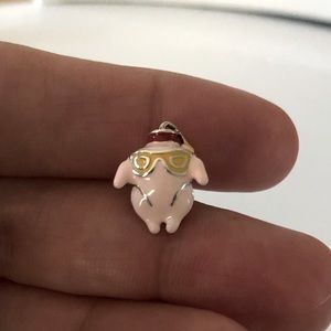 Turkey from Friends Monica Geller Thanksgiving Episode Charm